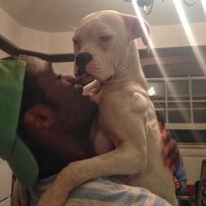 Meet your Posher, Nii